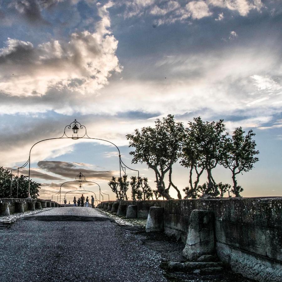 Le 139 Carcassonne Daire Dış mekan fotoğraf