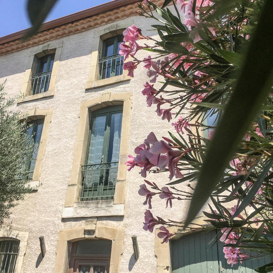 Le 139 Carcassonne Daire Dış mekan fotoğraf