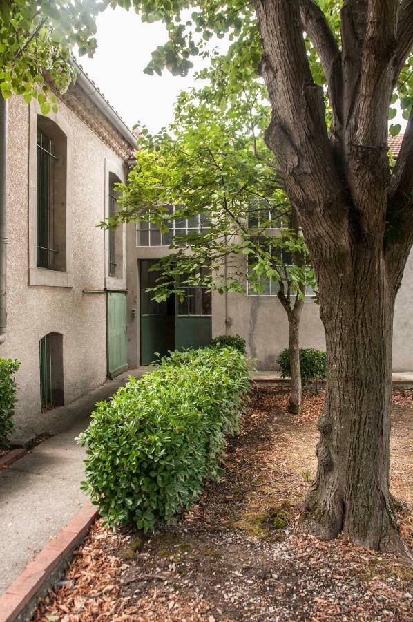 Le 139 Carcassonne Daire Dış mekan fotoğraf