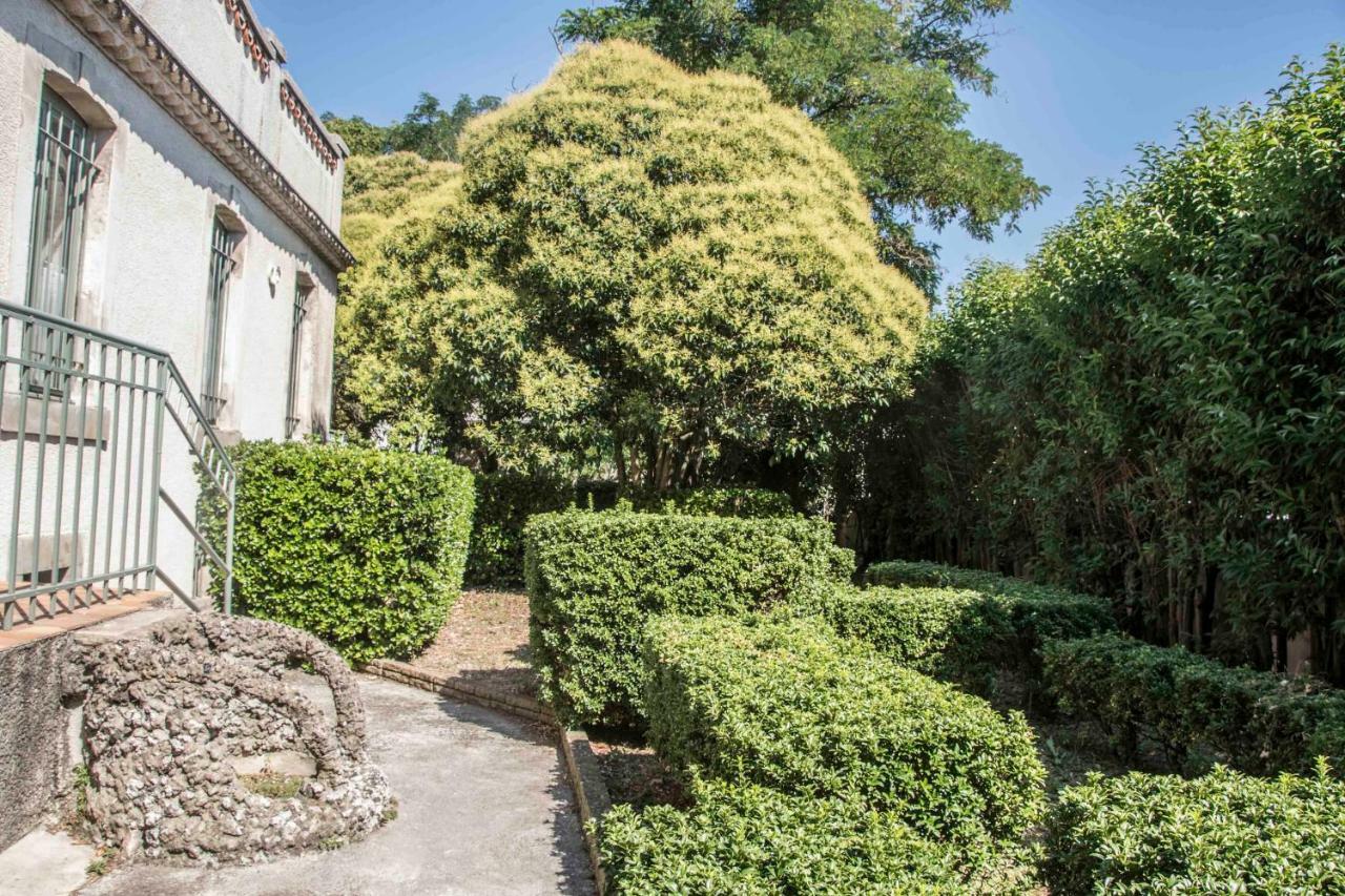 Le 139 Carcassonne Daire Dış mekan fotoğraf